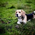 Bafra Escort Merkezi: Etkileyici ve Yaramaz Arkadaş İlanları